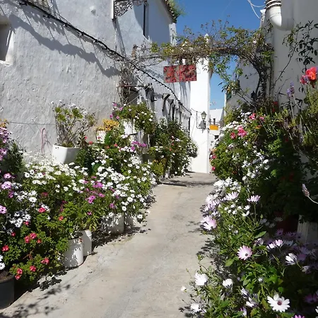 Vivienda Turística de Alojamiento Rural Cilla Vieja Vejer de la Frontera Exterior foto