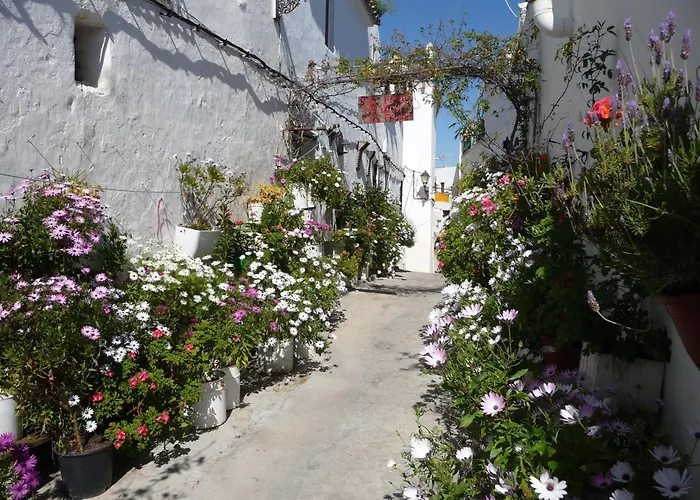 Vivienda Turistica De Alojamiento Rural Silla Vieja