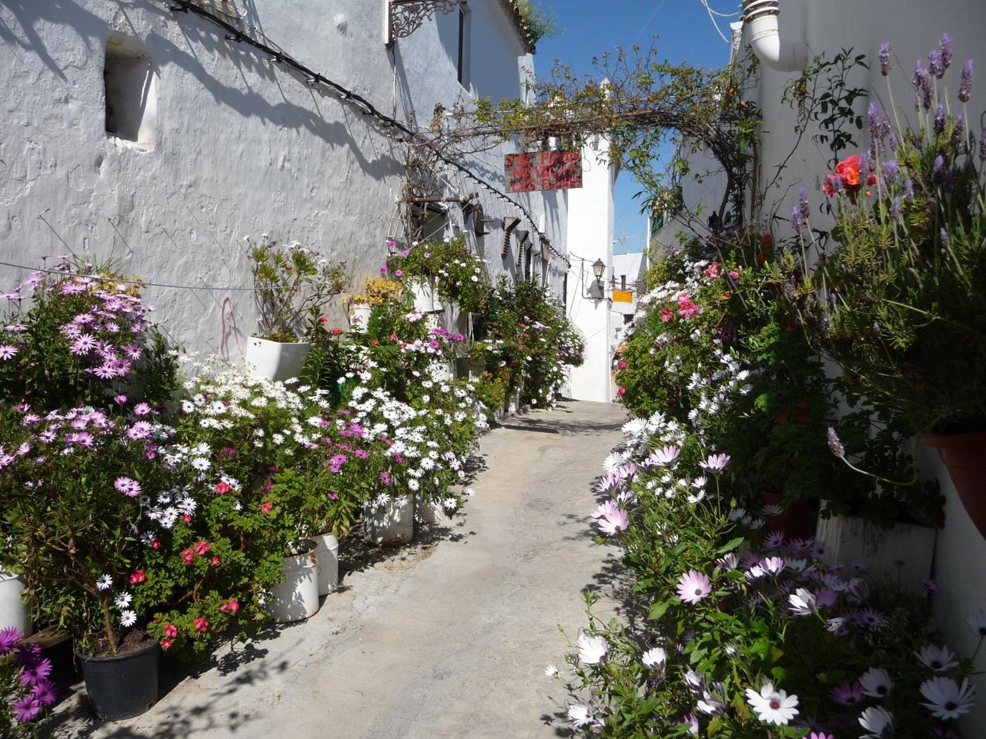 Vivienda Turistica De Rural Silla Vieja