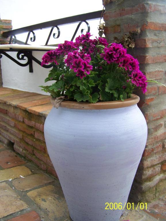 Apartment Vivienda Turistica De Rural Silla Vieja Vejer de la Frontera